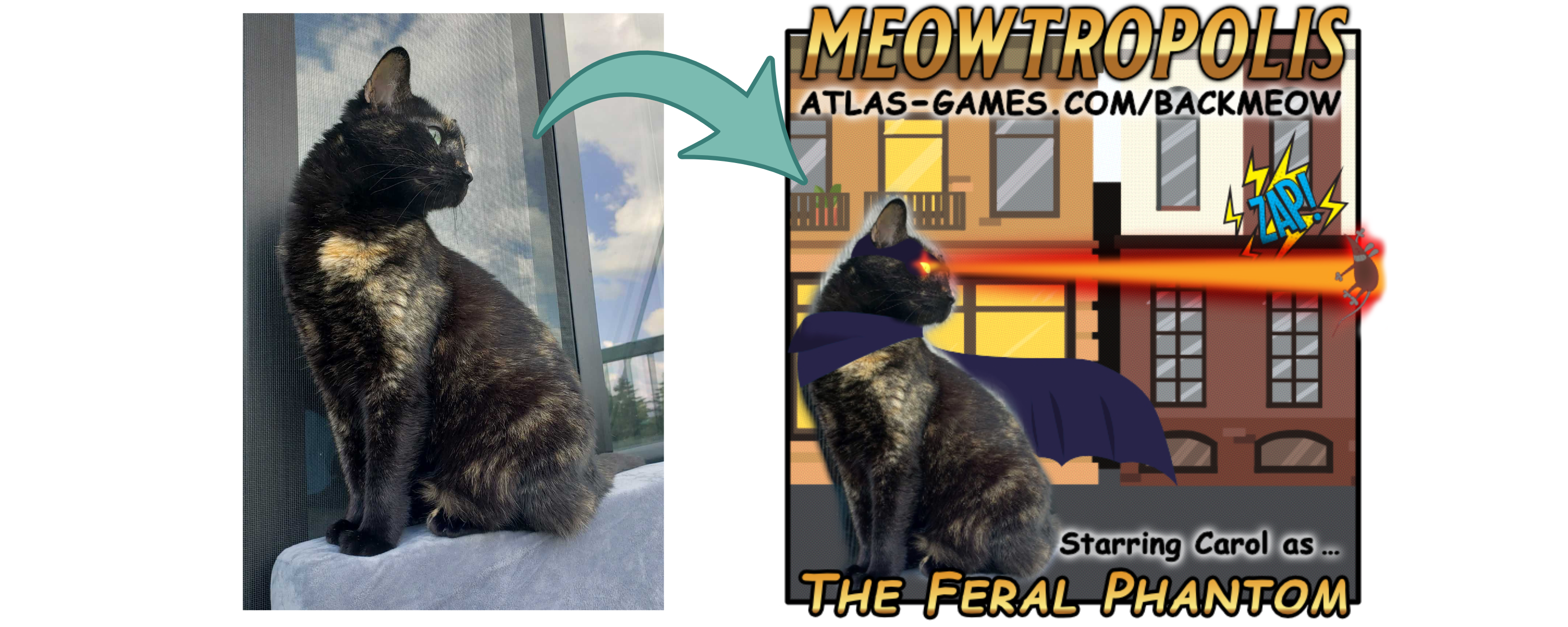 Your CAT could SAVE THE WORLD!