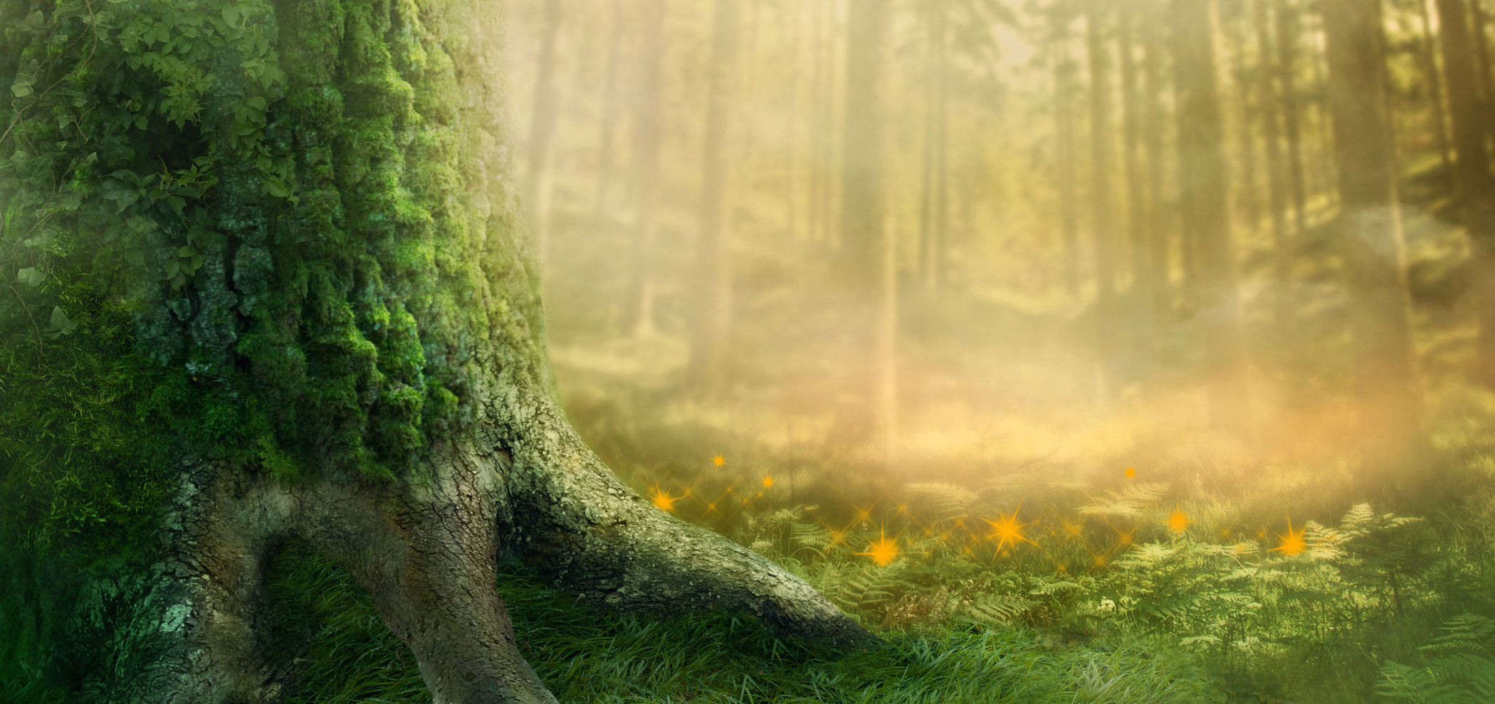 New Wyrd Woods eBook Released